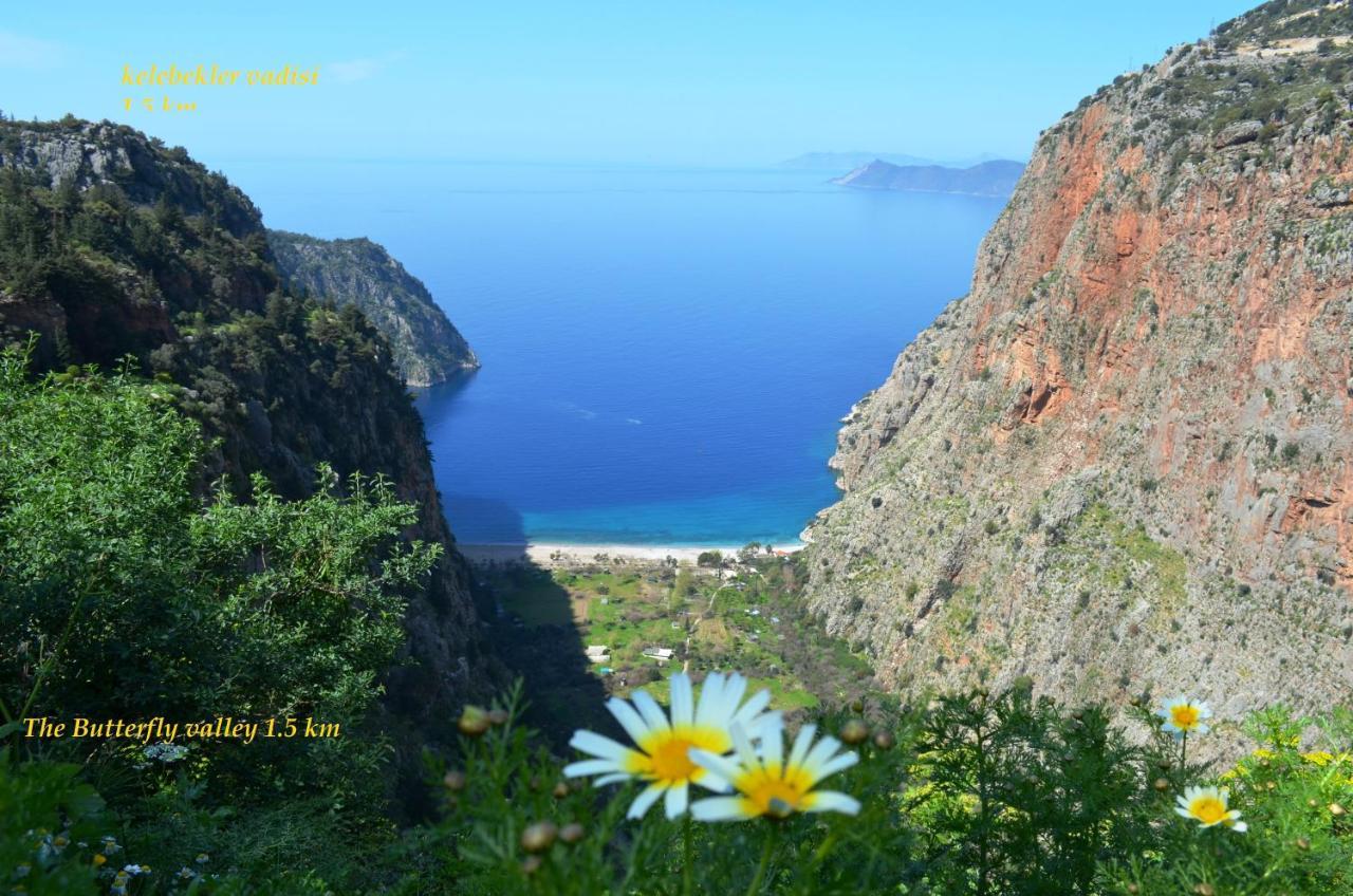 California Apart Otel Oludeniz Luaran gambar